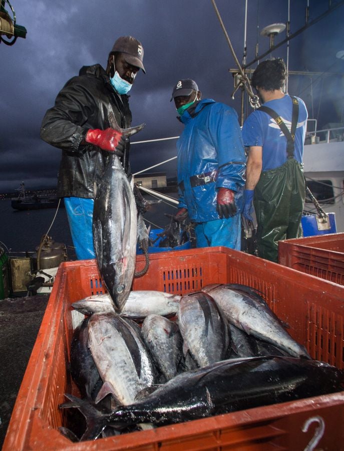 Fotos: Las últimas piezas de la temporada