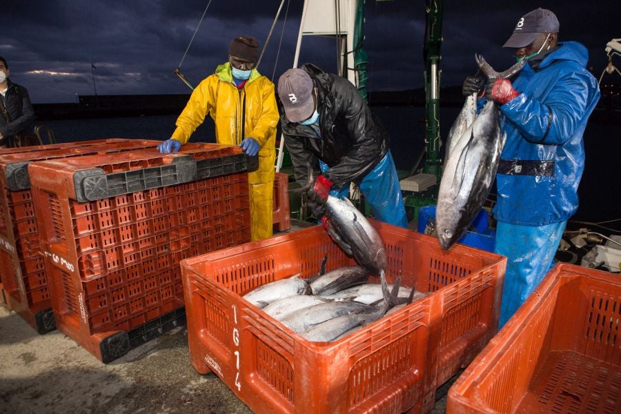 Fotos: Las últimas piezas de la temporada