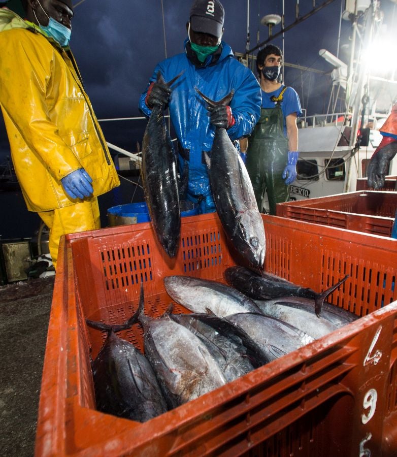 Fotos: Las últimas piezas de la temporada