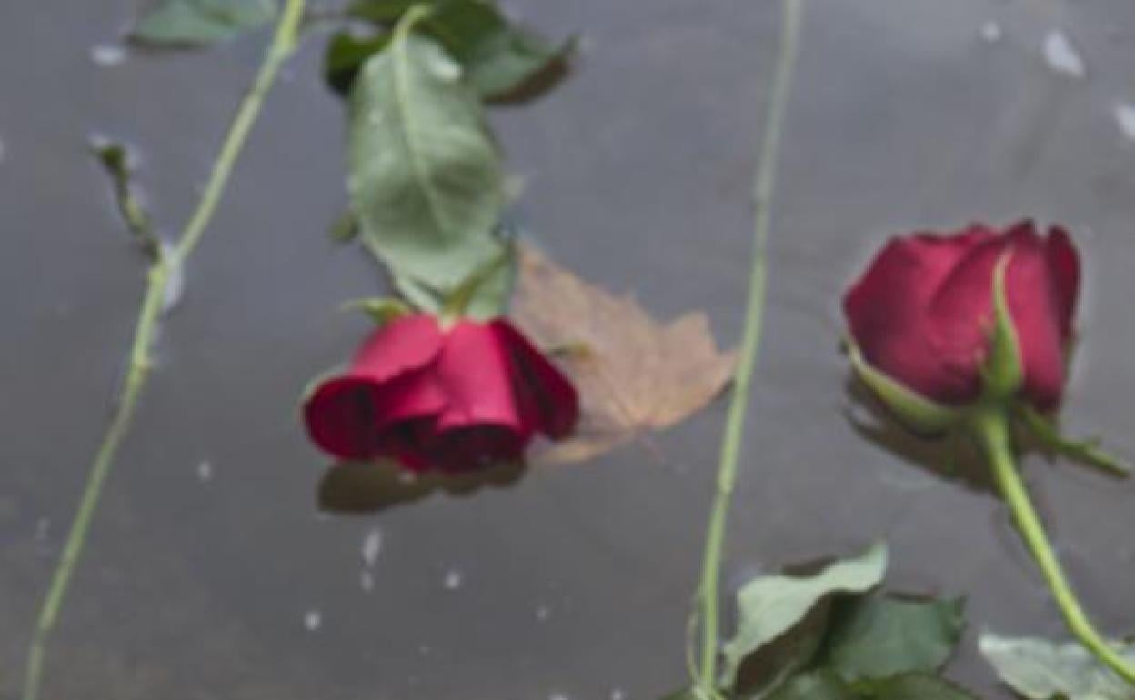 Despedida de Irungo Harrera Sarea a Abdoulaye, en el Bidasoa. 