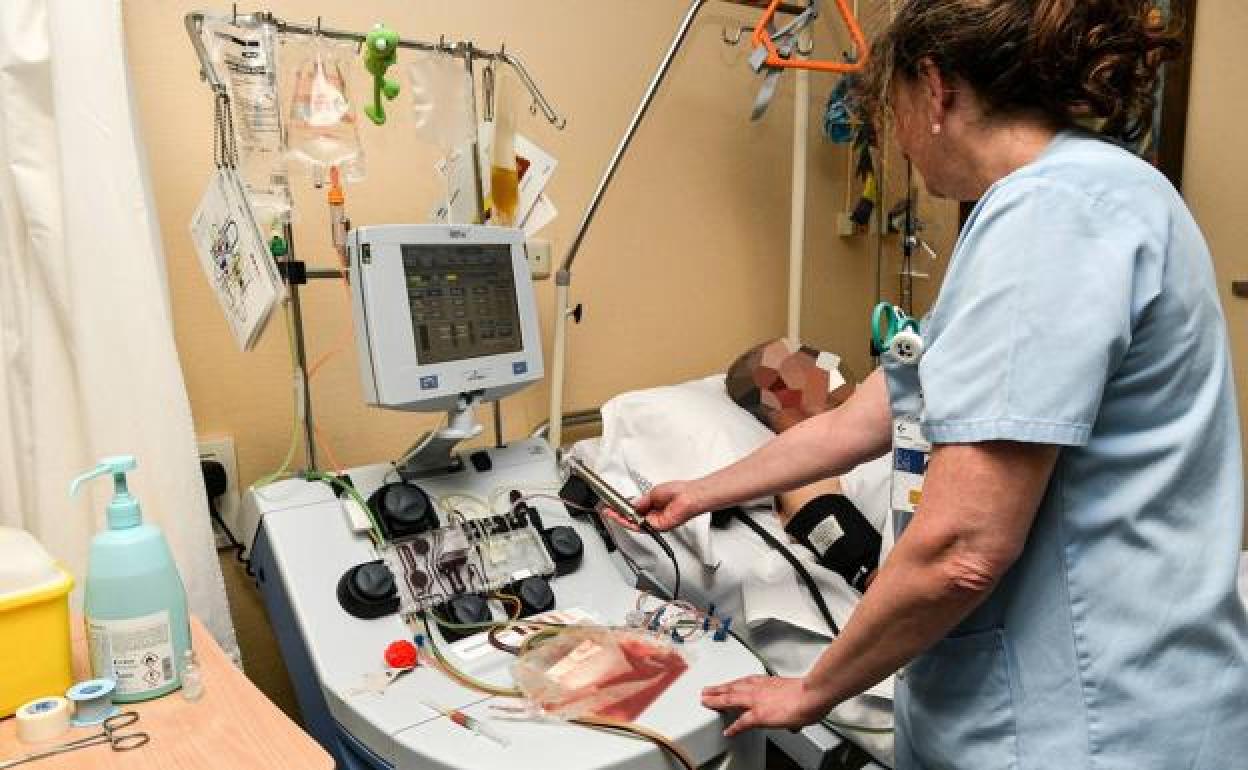 En 2021, el número de donantes de órganos vuelve a recuperarse. En la imagen, un tratamiento a un trasplantado en Euskadi.