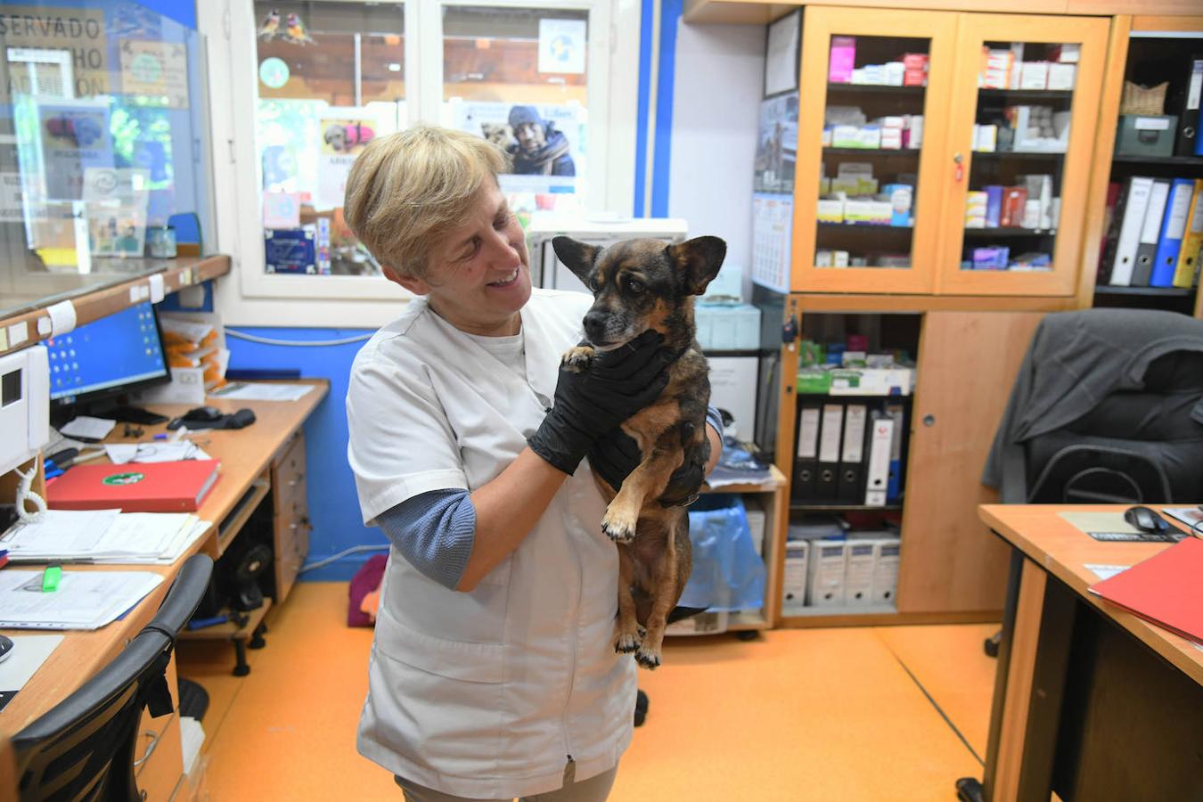 Fotos: «Hace 20 años podíamos llegar a recibir más de 50 perros solo en agosto»