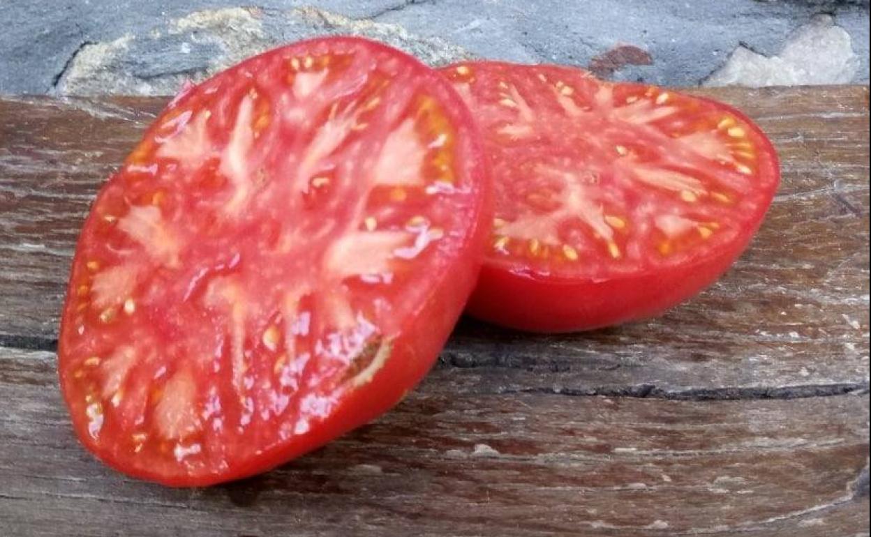 Imagen de un tomate de Aretxabaleta abierto. 