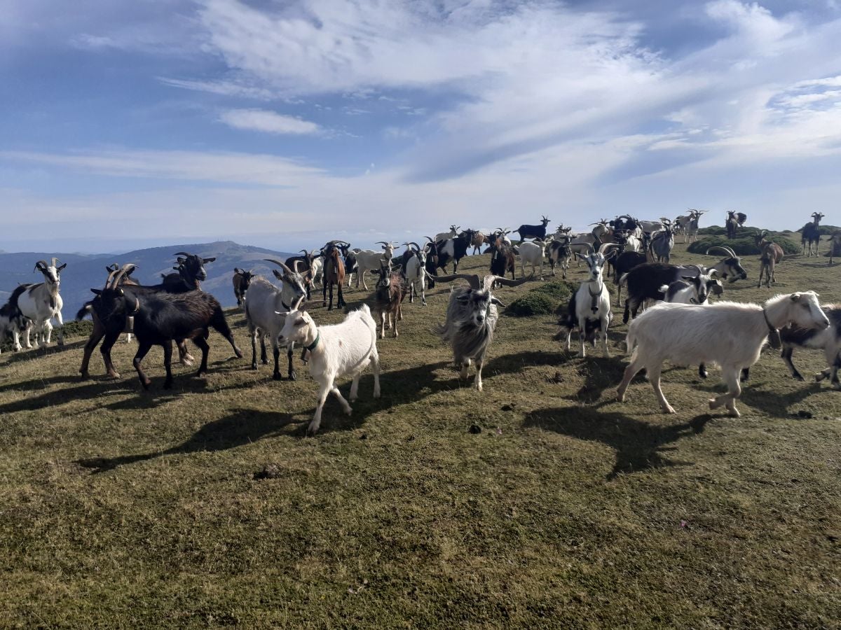 Fotos: Beriain, gran recompensa tras el esfuerzo