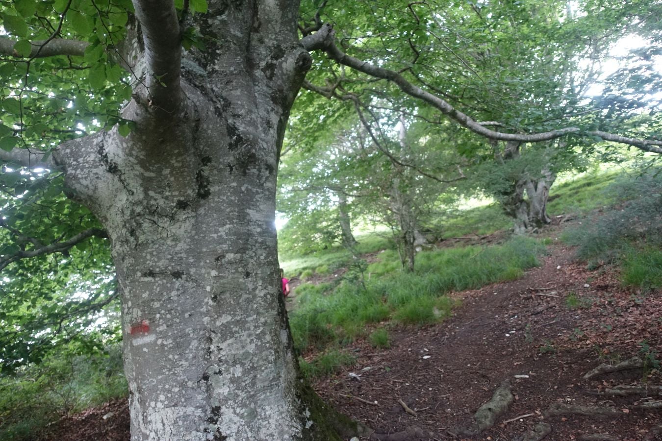 Fotos: Beriain, gran recompensa tras el esfuerzo