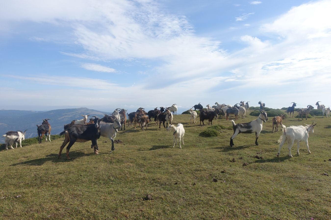 Fotos: Beriain, gran recompensa tras el esfuerzo