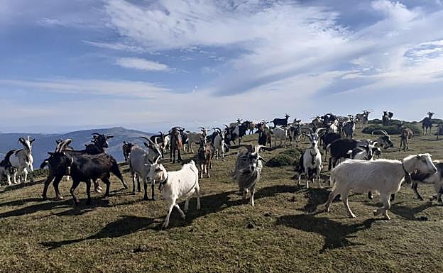 Galería. Las mejores imágenes de la subida a Beriain.