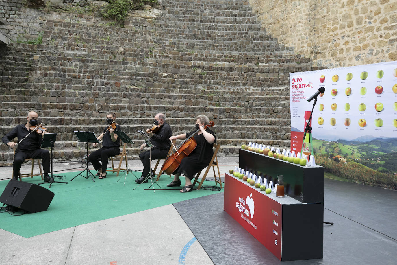 Fotos: Cosecha «abundante» y «de gran calidad» para hacer sidra