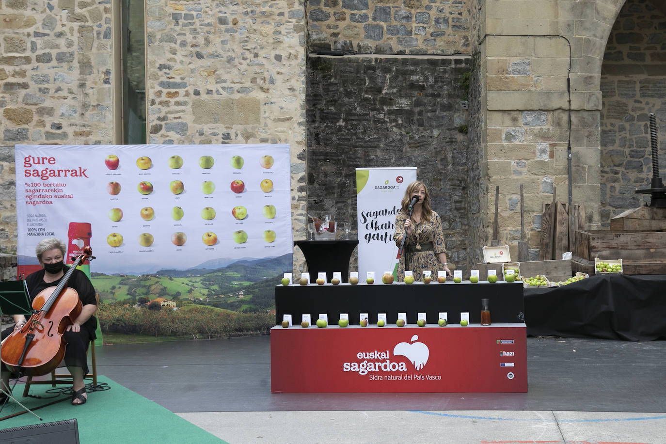 Fotos: Cosecha «abundante» y «de gran calidad» para hacer sidra