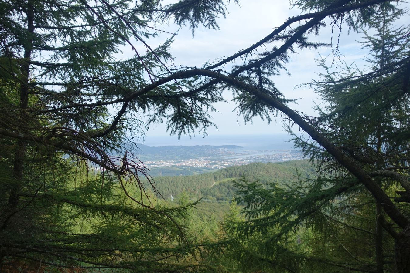 Erroilbide (832 m.), Txurrumurru (823 m.) y Irumugarrieta (806 m.) forman parte de la gran mole que vigila cualquier movimientoen Orasoaldea