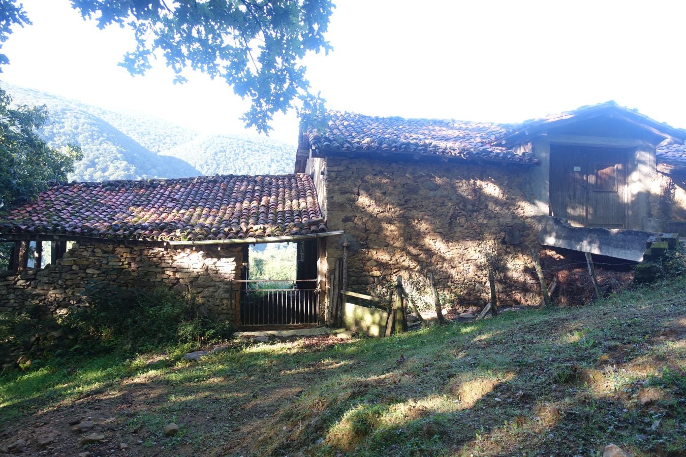 Fotos: Erakurri, tras los pasos de Basojaun