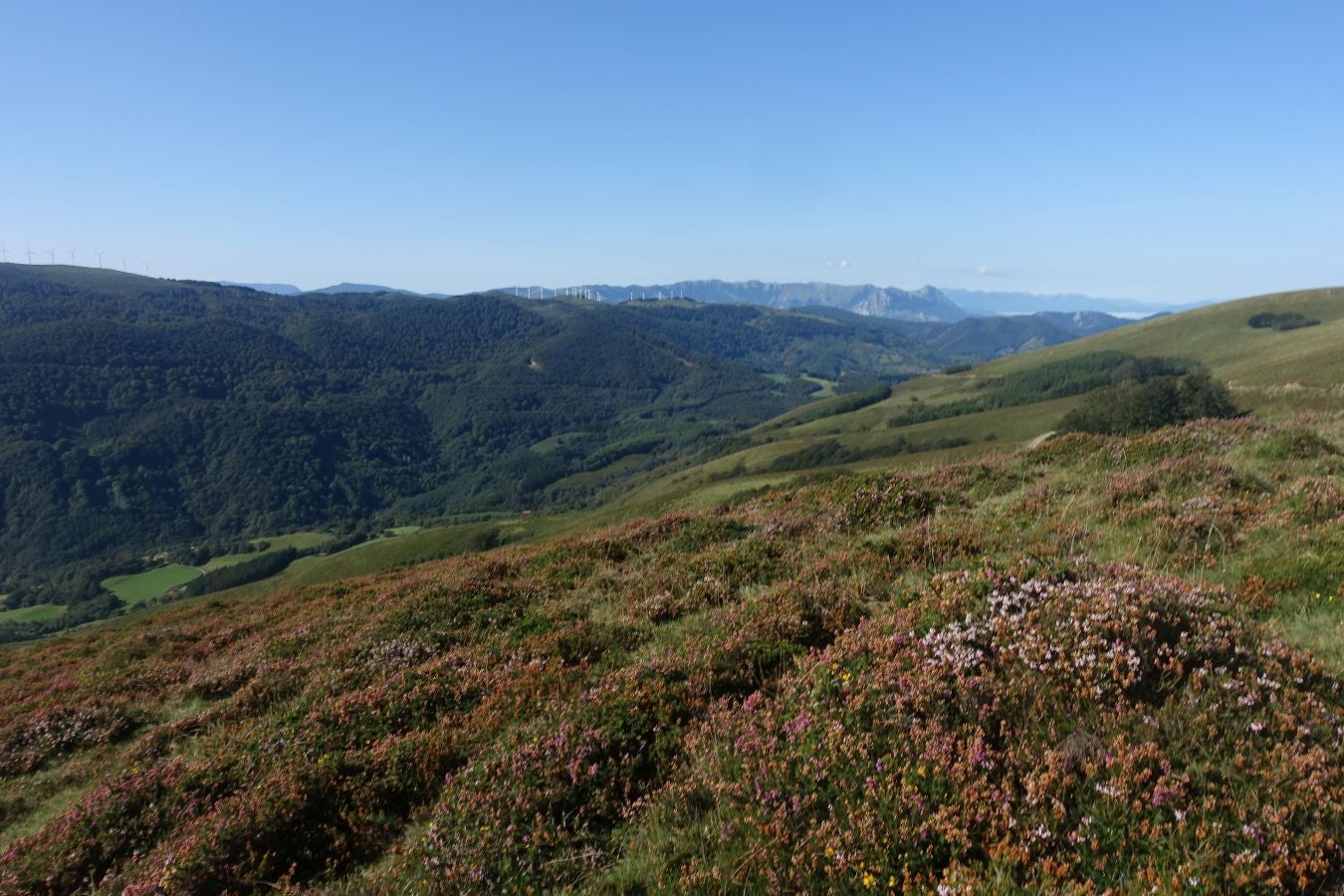 Fotos: Erakurri, tras los pasos de Basojaun