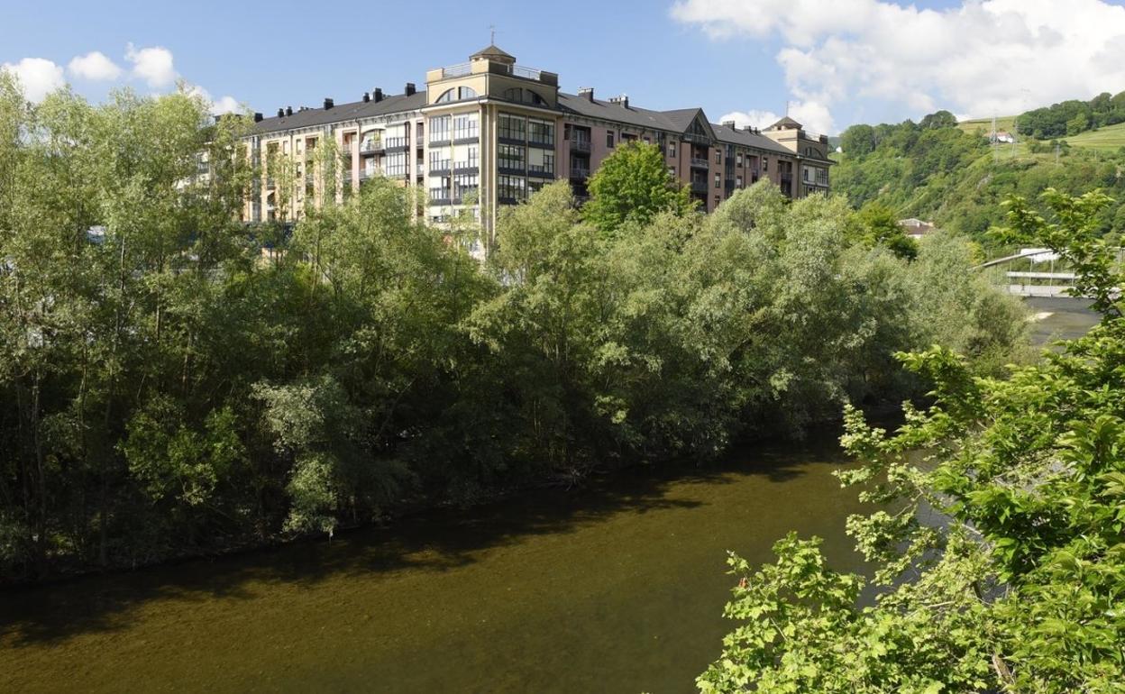 Idoia Biurrun ofrecerá un recorrido guiado sobre las curiosidades de diversas especies vegetales invasoras por Tolosa e Ibarra.