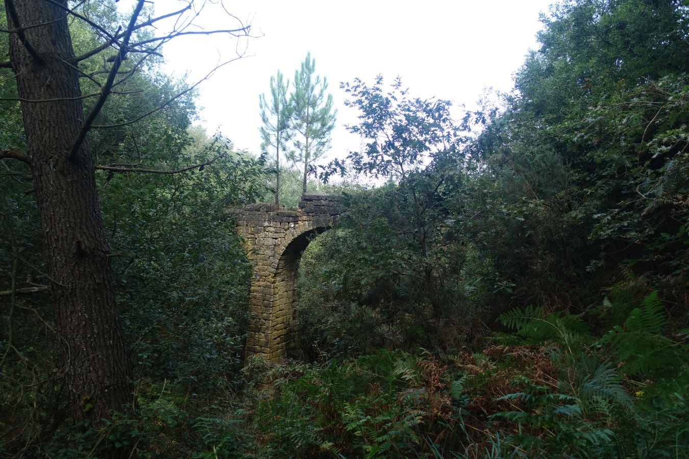 Fotos del Monte Ulia y la la ruta hasta Pasaia San Pedro