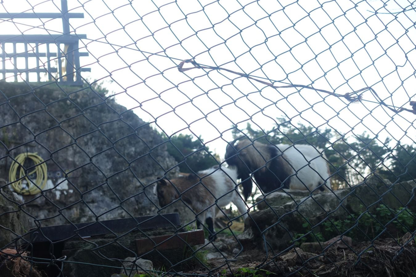 Fotos del Monte Ulia y la la ruta hasta Pasaia San Pedro