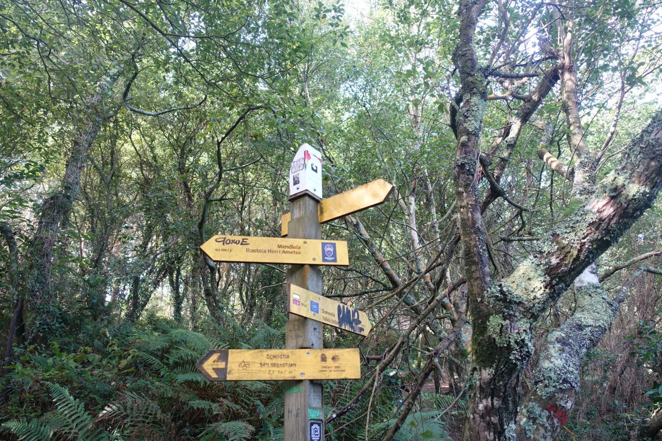 Fotos del Monte Ulia y la la ruta hasta Pasaia San Pedro