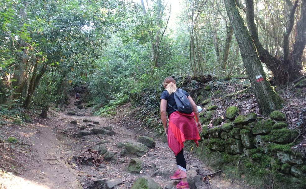 Las antiguas paredes que delimitaban el camino llenas de un verde musgo nos conduce por el precioso paseo desde Donostia.