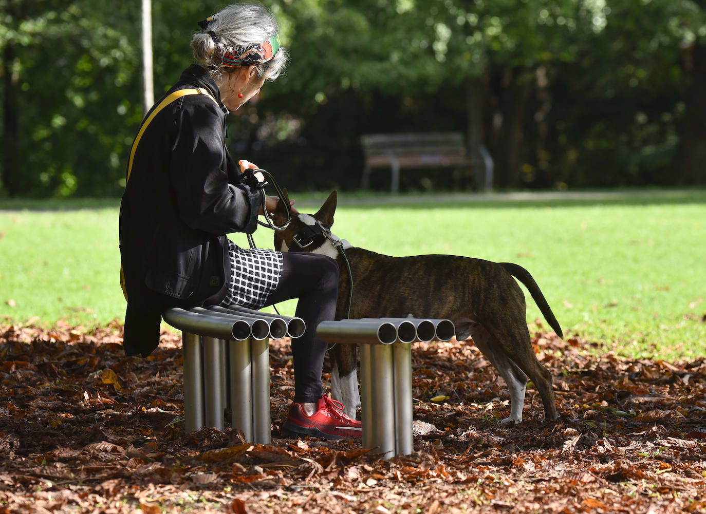 Fotos: Muebles y naturaleza en armonía