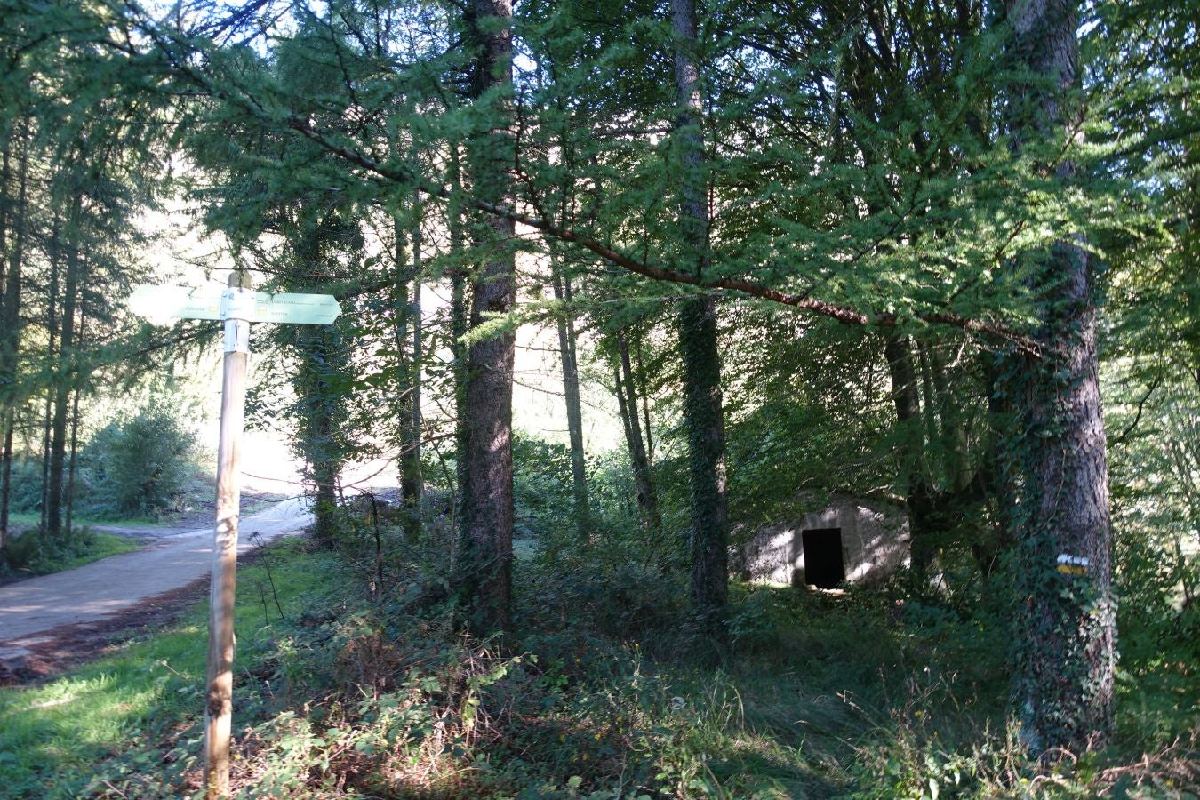 Fotos: Kakueta, regalo en Urola