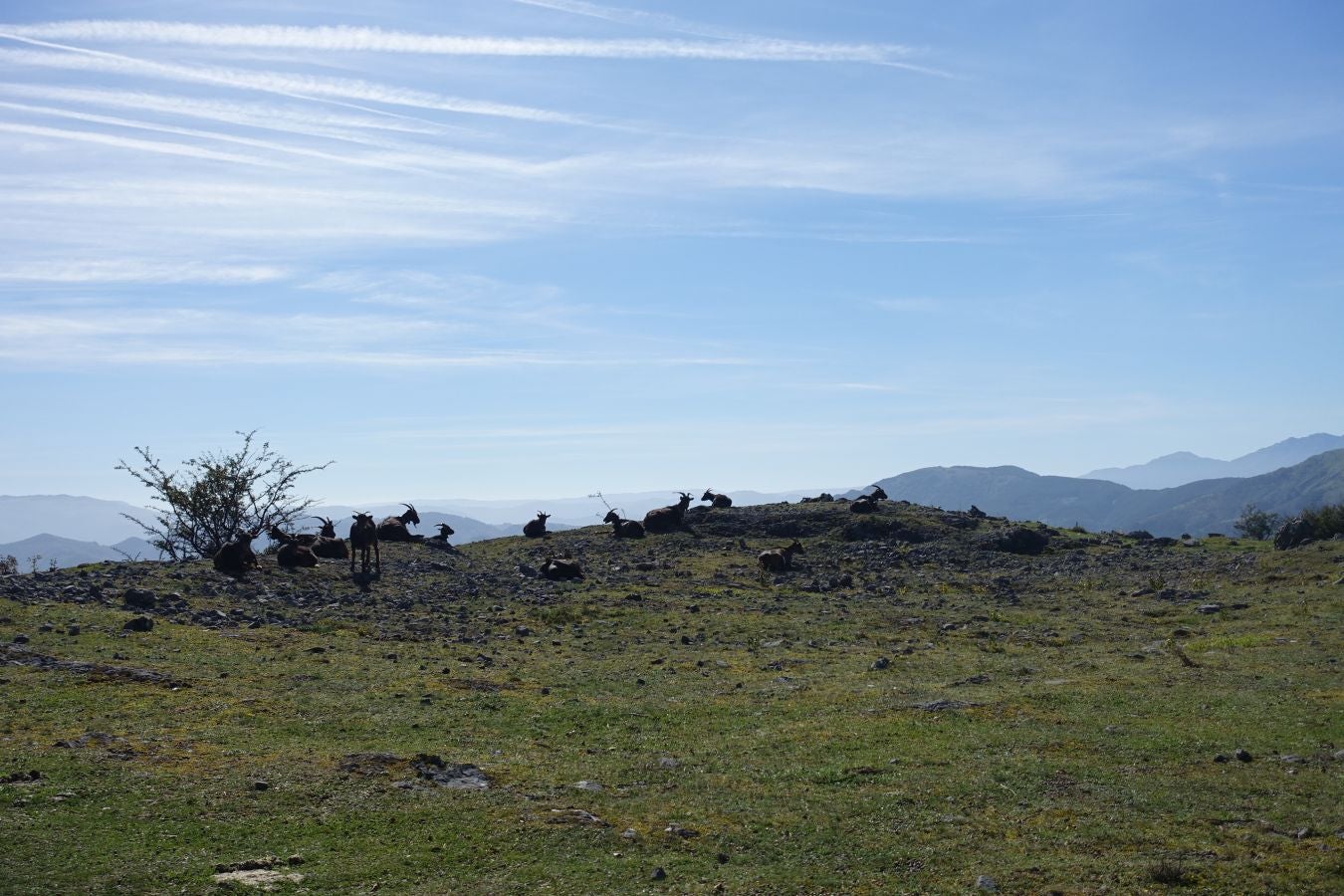 Fotos: Kakueta, regalo en Urola