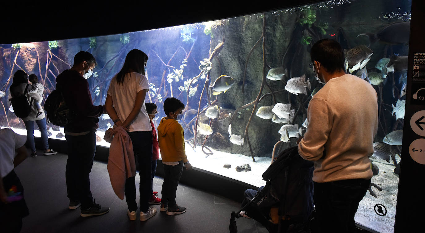 Fotos: Turistas llenan las calles y la hostelería de Gipuzkoa