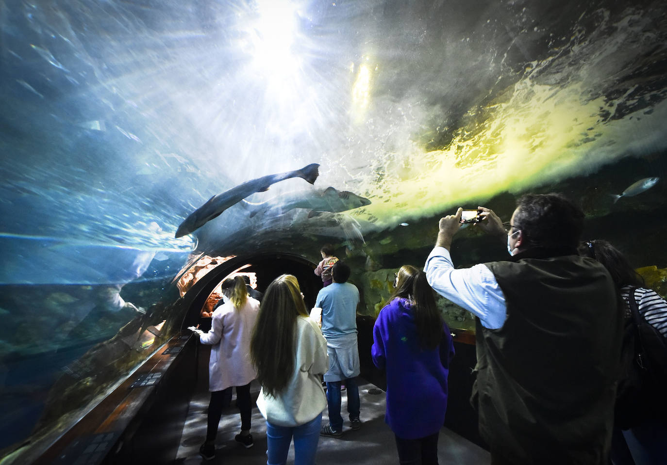 Fotos: Turistas llenan las calles y la hostelería de Gipuzkoa
