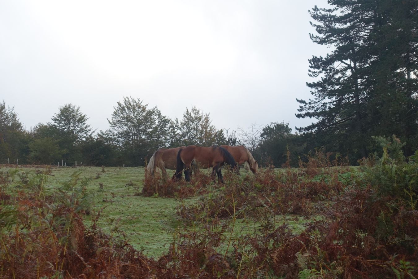 Fotos: Urkieta, sobre un mar de nubes