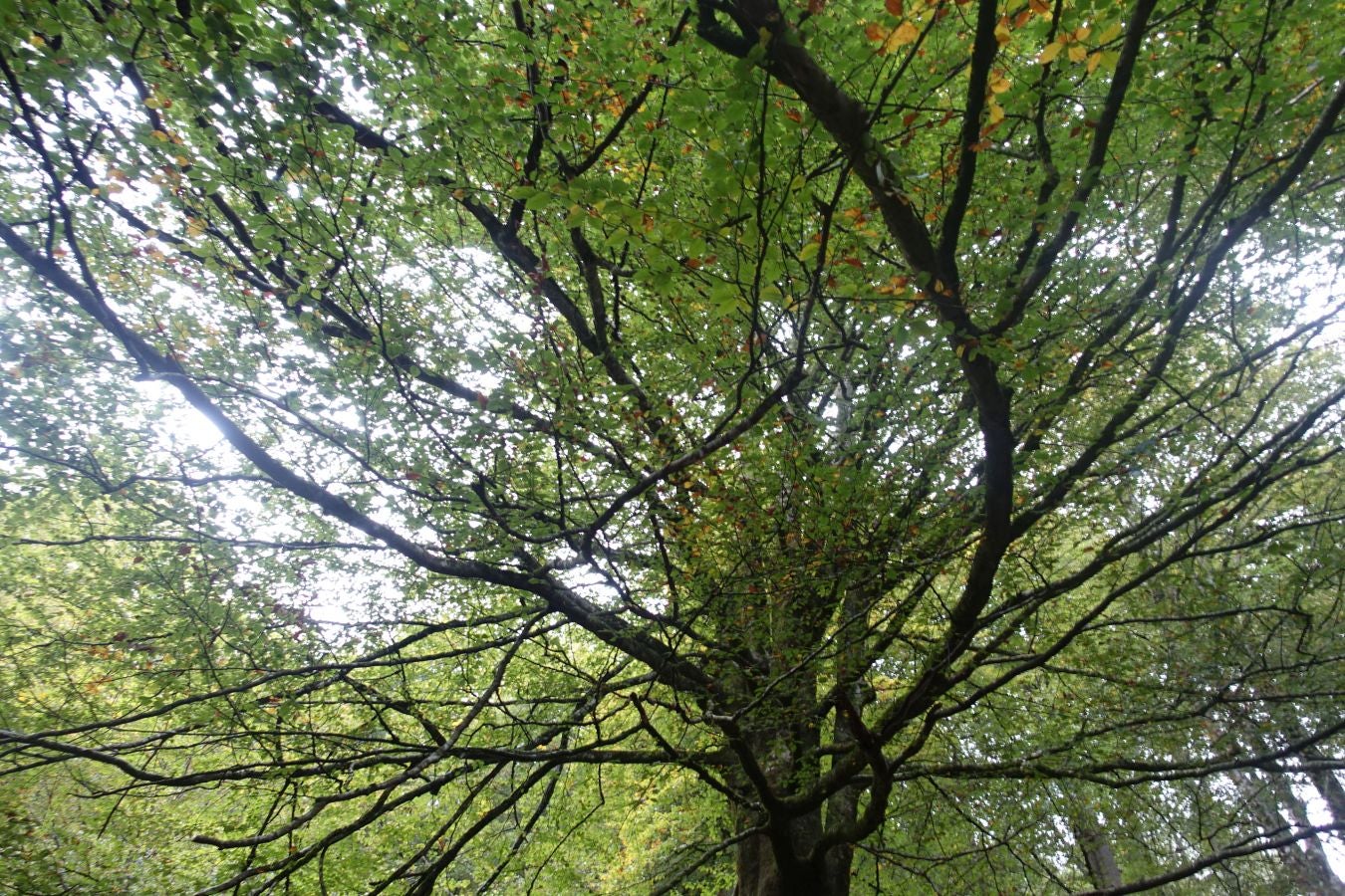 Fotos: Urkieta, sobre un mar de nubes