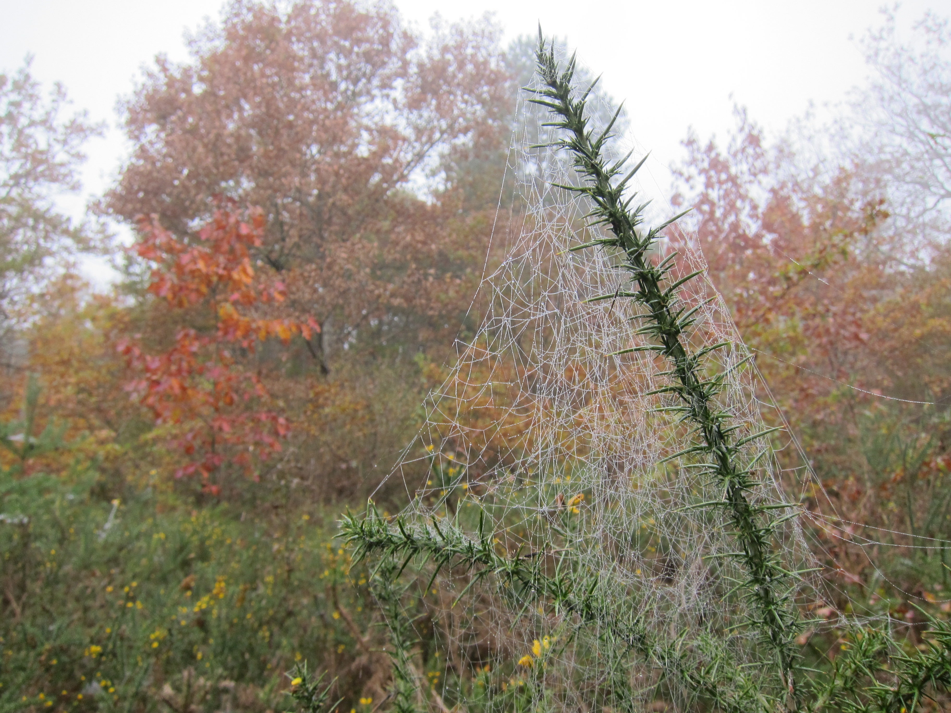 Fotos: Entre joyas naturales milenarias