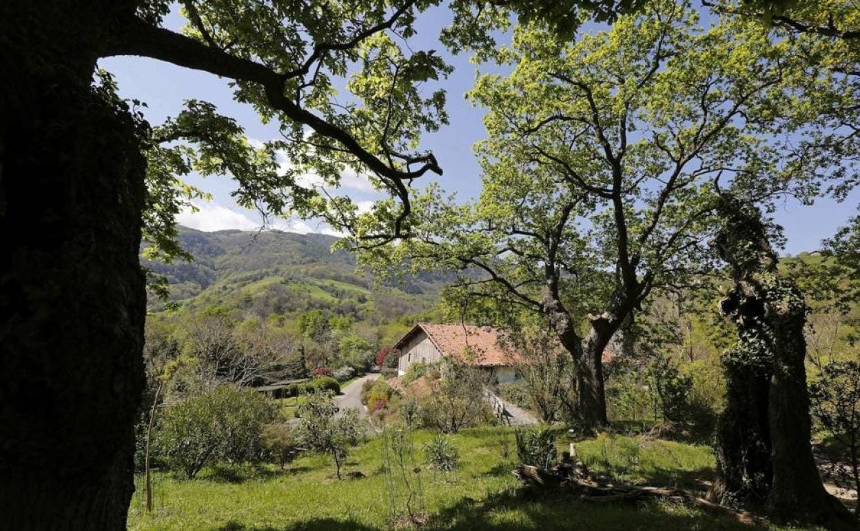 Pagoeta, ruta circular desde Aia (Gipuzkoa)