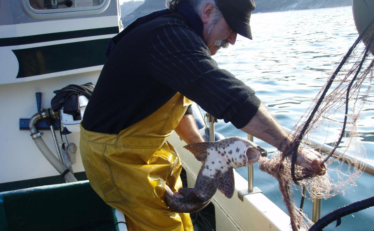 Jokin Gilisagasti en plena captura en el año 2012. 