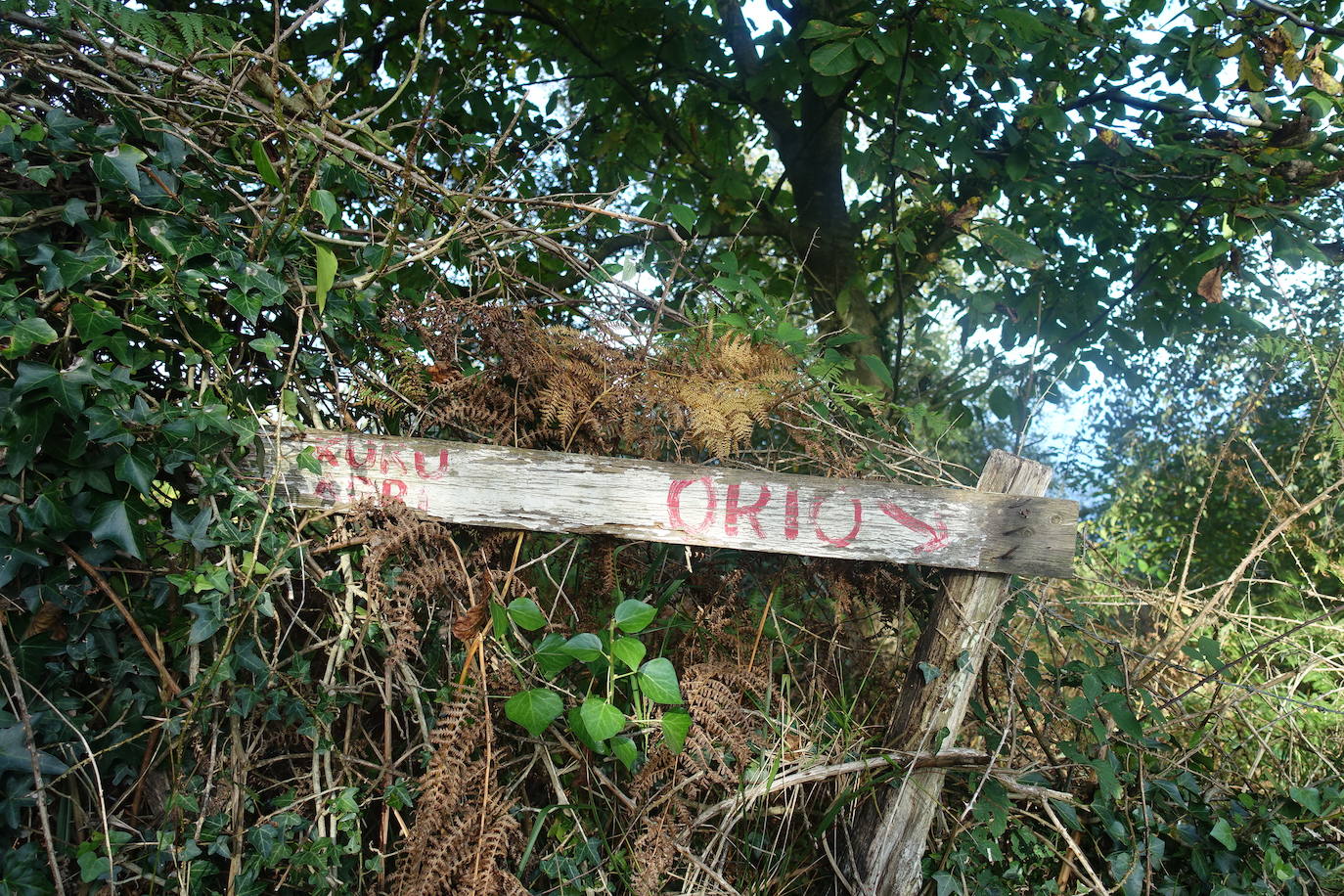 Fotos: Kukuarri, magníficas vistas al mar