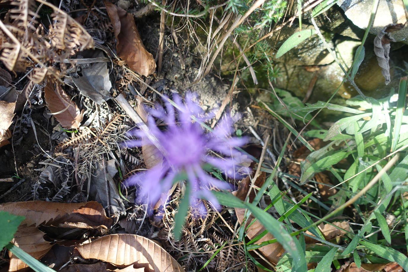 Fotos: Kukuarri, magníficas vistas al mar