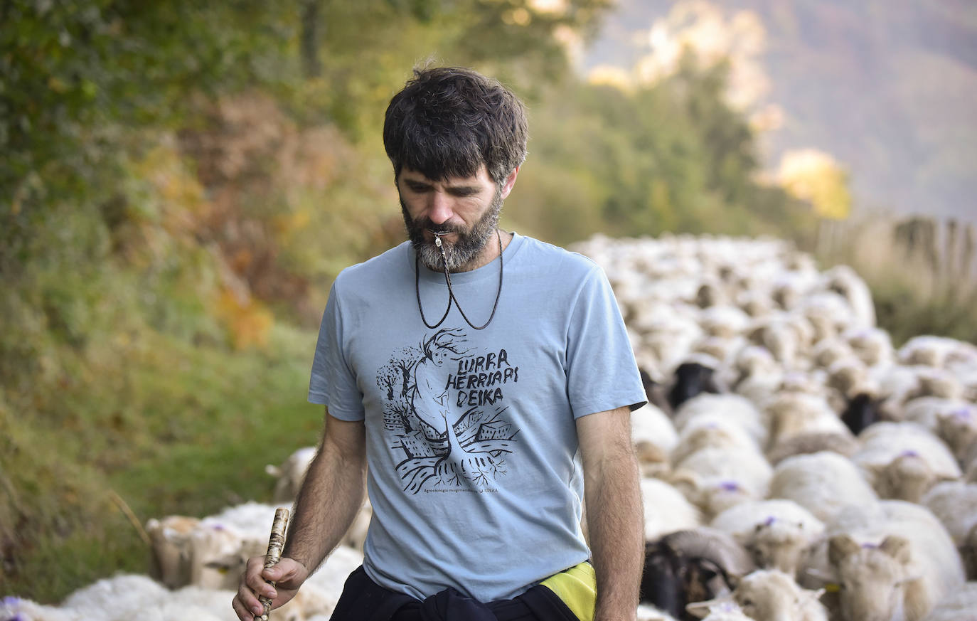 Fotos: Al ritmo del calendario de las ovejas