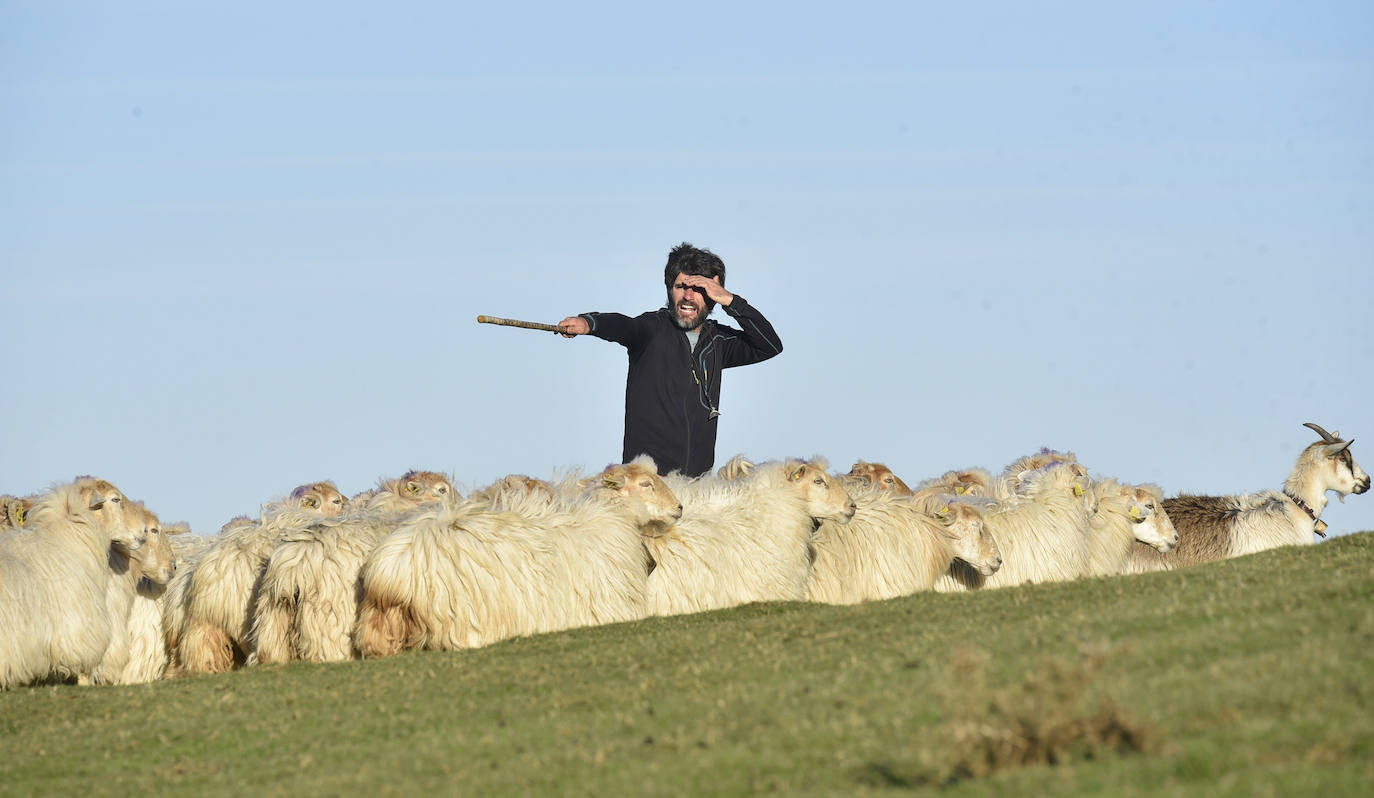 Fotos: Al ritmo del calendario de las ovejas