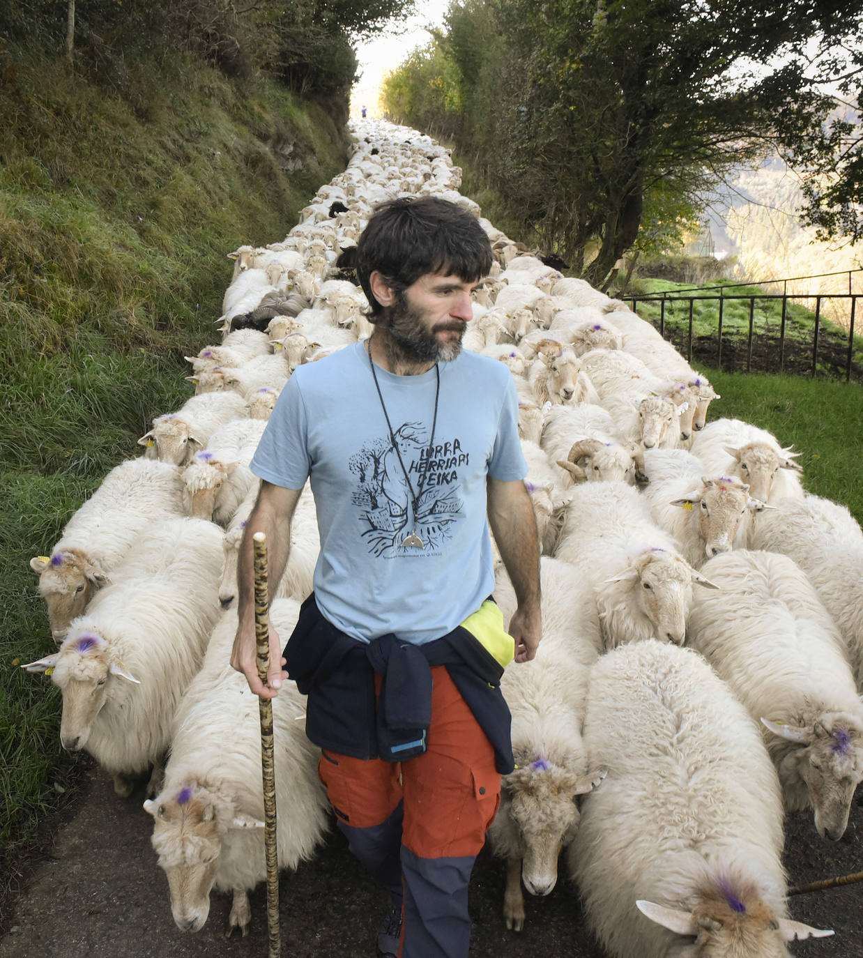 Fotos: Al ritmo del calendario de las ovejas