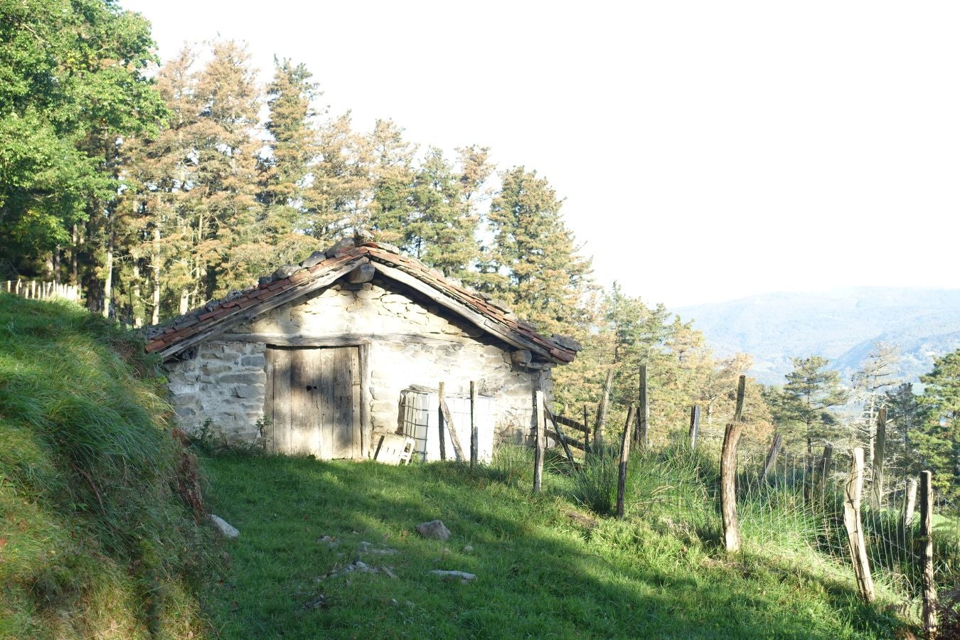 Fotos: Loatzo, un bonito rincón entre gigantes