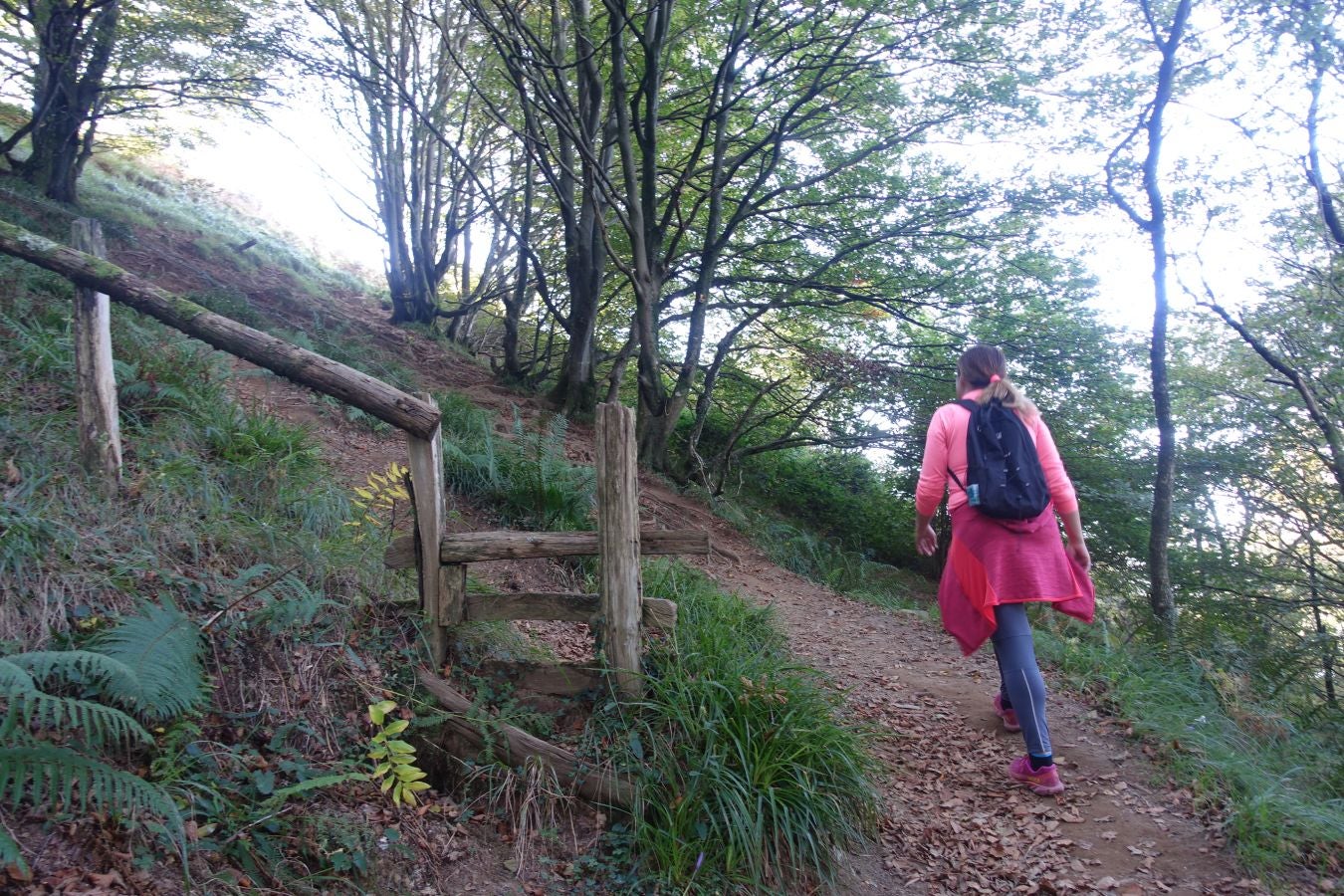 Fotos: Loatzo, un bonito rincón entre gigantes