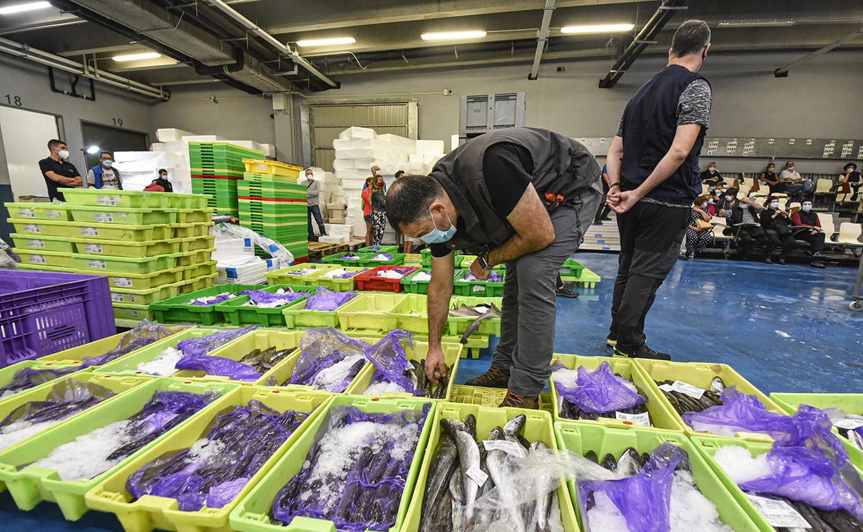La Lonja de Pasaia ofrece en la subasta productos de máxima frescura, de gran valor comercial y de primera calidad. 