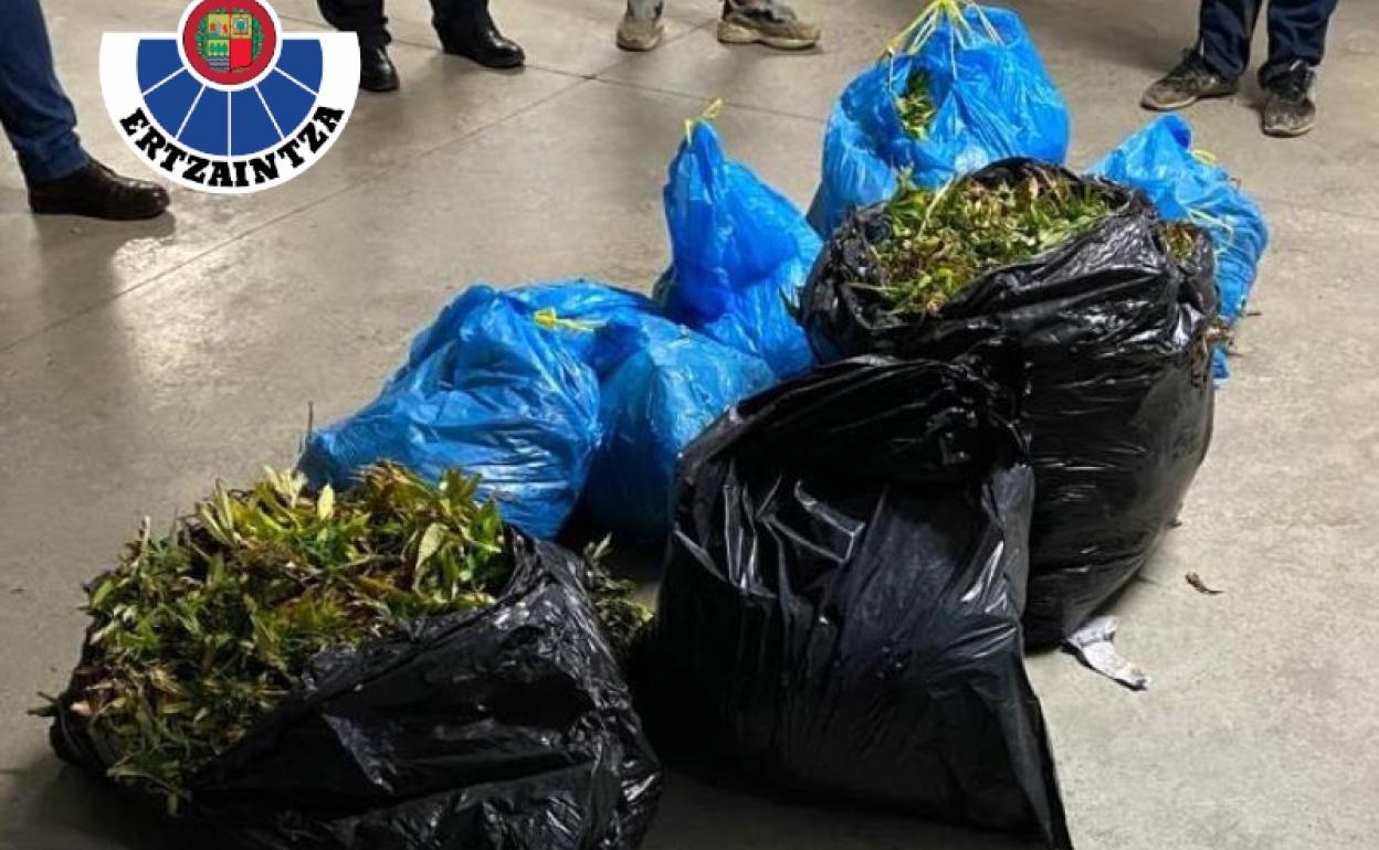 Las bolsas que localizaron los ertzainas en un control preventivo.