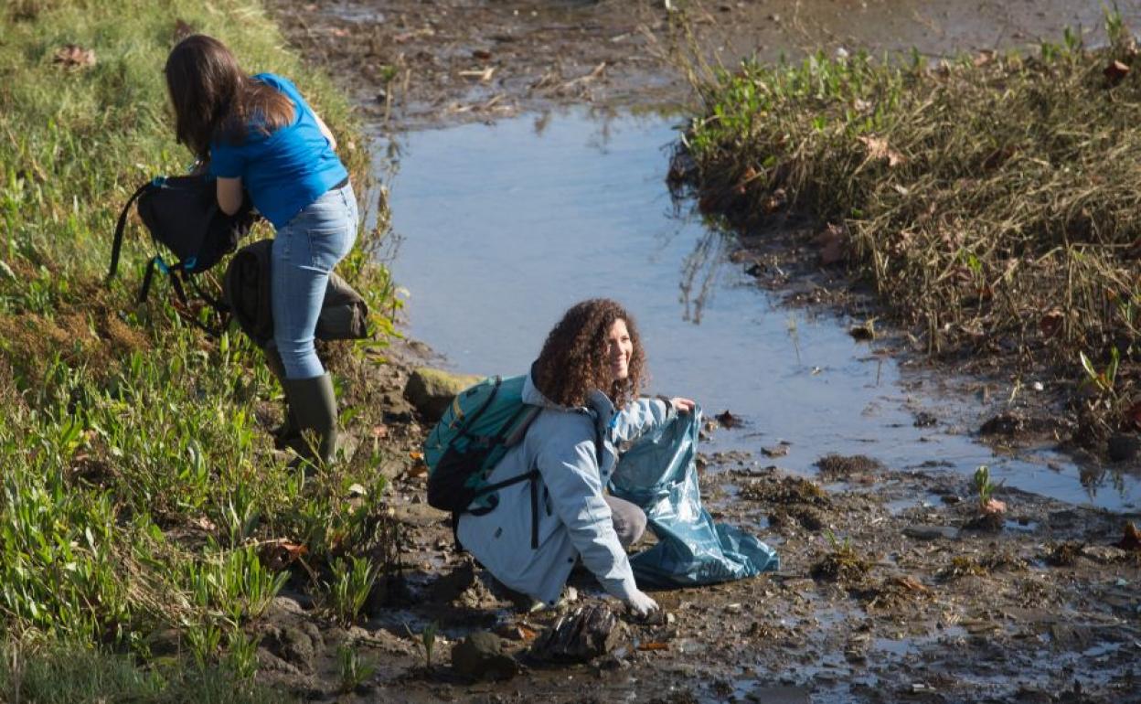 En las marismas. Los voluntarios retiraron basura de los espacios donde habitan aves. 