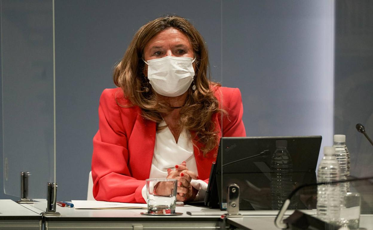 Coronavirus: Así te hemos contado la comparecencia de Gotzone Sagardui