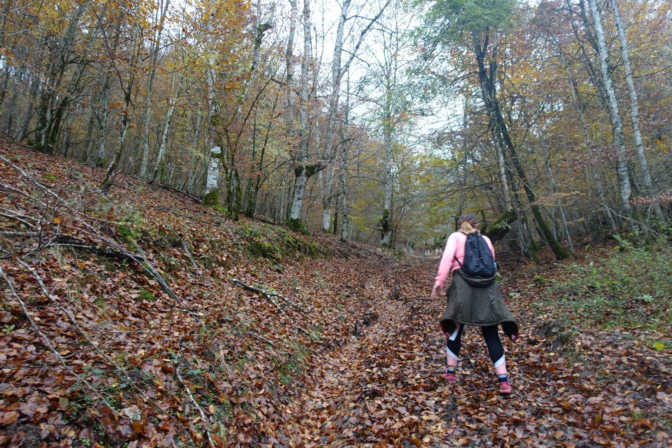 Fotos: Larrazpil, señor de la niebla de Aralar