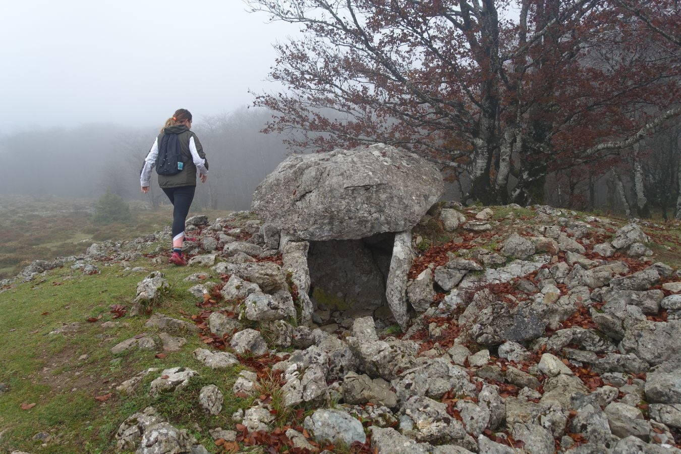 Fotos: Larrazpil, señor de la niebla de Aralar