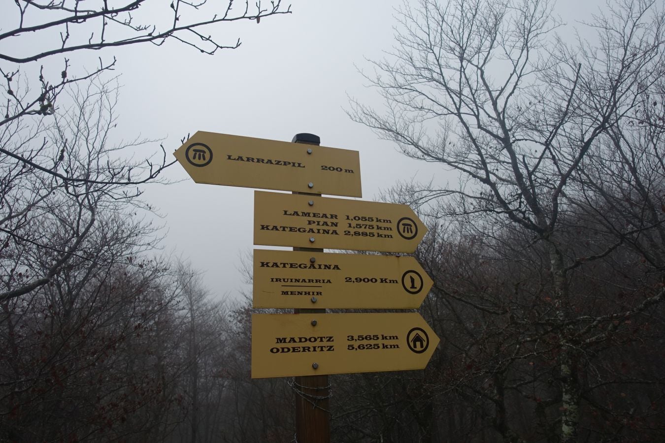 Fotos: Larrazpil, señor de la niebla de Aralar