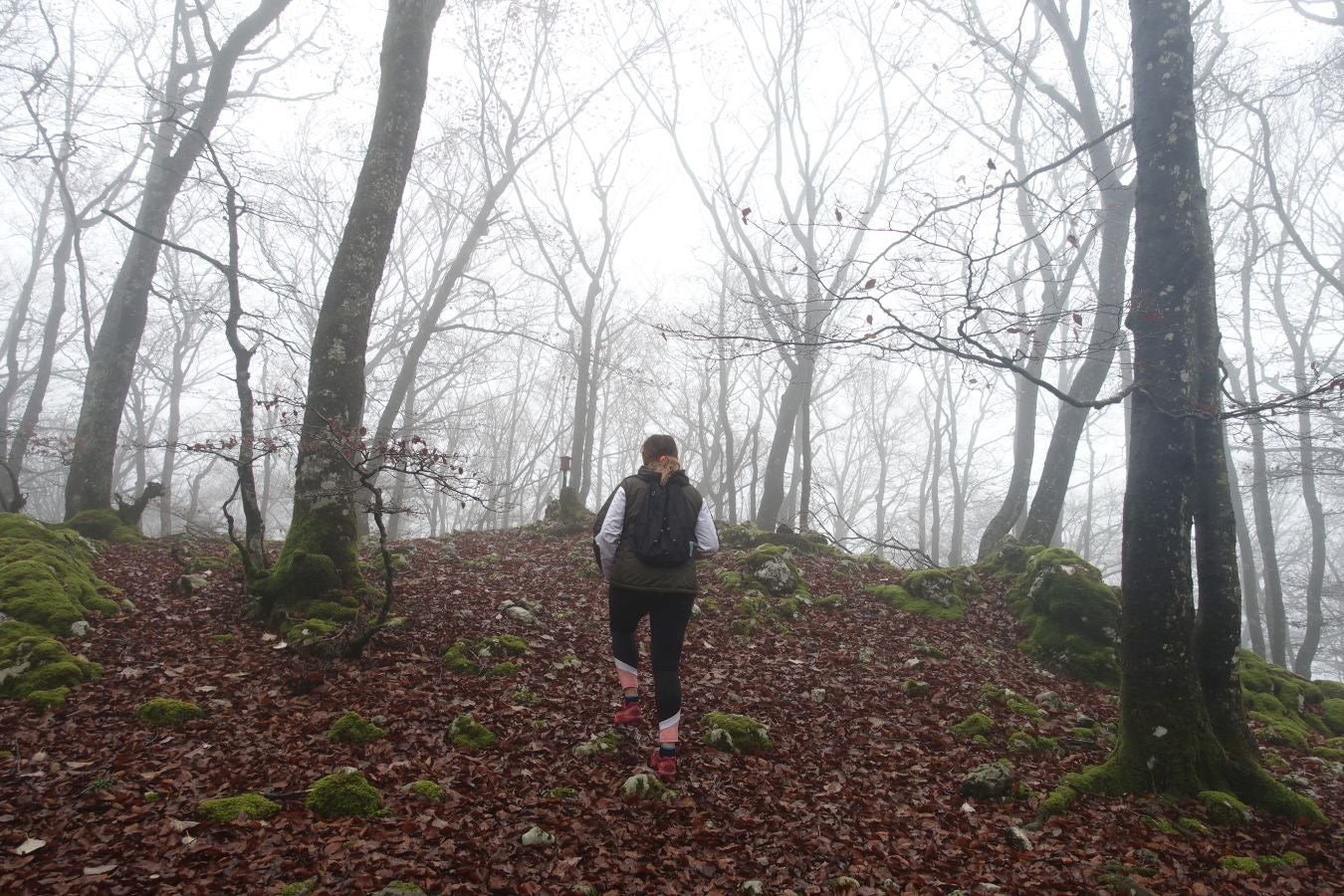 Fotos: Larrazpil, señor de la niebla de Aralar