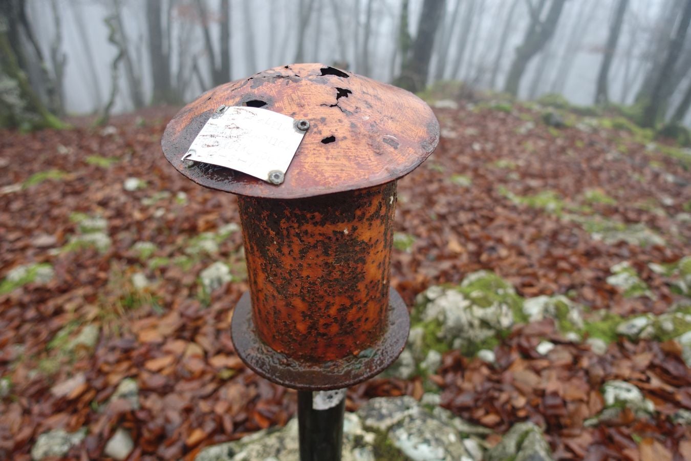 Fotos: Larrazpil, señor de la niebla de Aralar