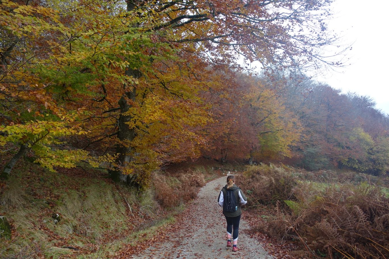 Fotos: Larrazpil, señor de la niebla de Aralar