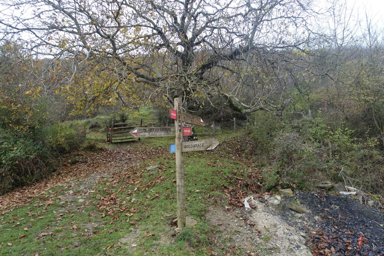 Fotos: Larrazpil, señor de la niebla de Aralar