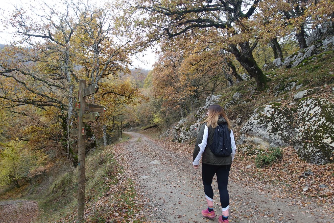 Fotos: Larrazpil, señor de la niebla de Aralar